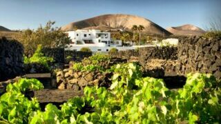 bike-tour-lanzarote-florida