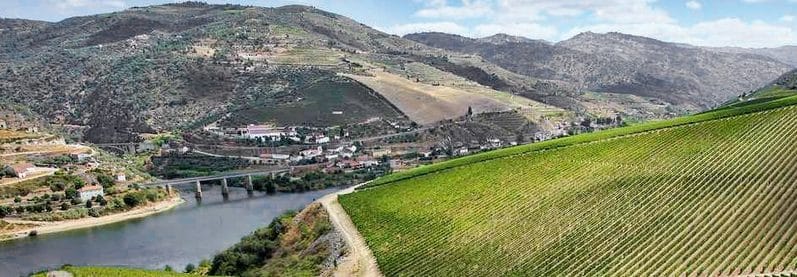 ribera duero portugal